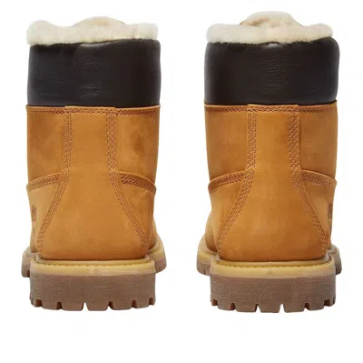 Timberland Premium 6-inch Boots In Brown