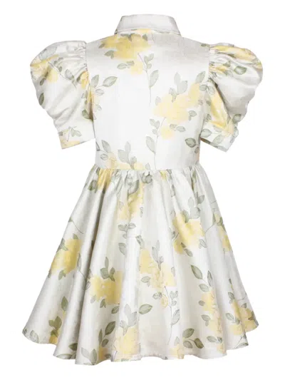 Jessie And James Floral-print Puff-sleeve Dress In Neutral