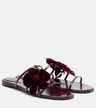 Zimmermann Orchid Slide In Burgundy