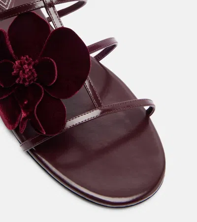 Zimmermann Orchid Slide In Burgundy