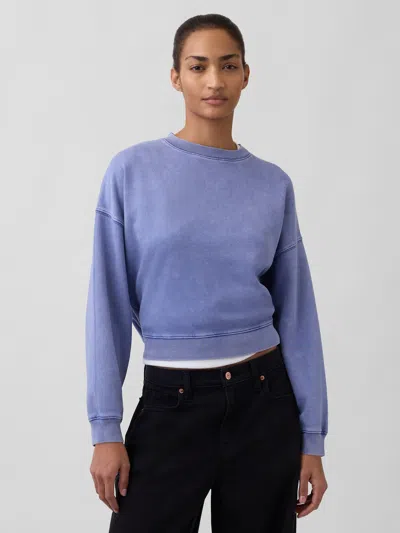 Gap Vintagesoft Wedge Crewneck Sweatshirt