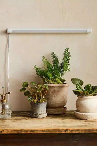 Soltech Led Bar Grow Light In Multi