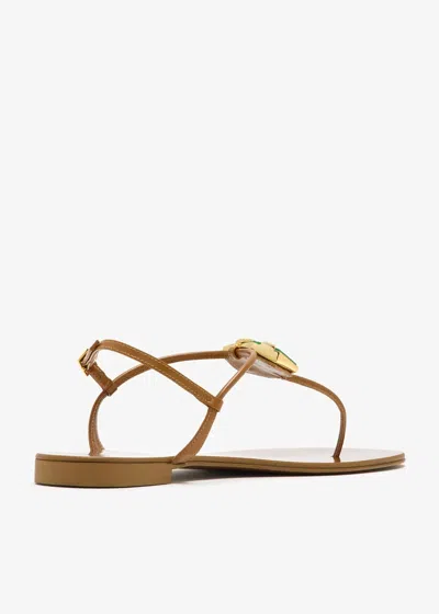 Giuseppe Zanotti Sandals Brown In Brown