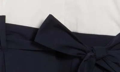 T Tahari Colorblock Sleeveless A-line Dress In Black