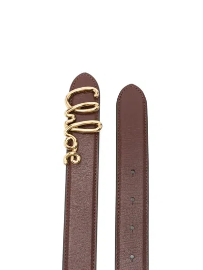 Chloé Belts In Brown