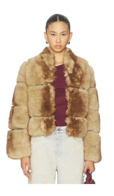 Apparis Gradient-effect Faux-fur Jacket In Brown