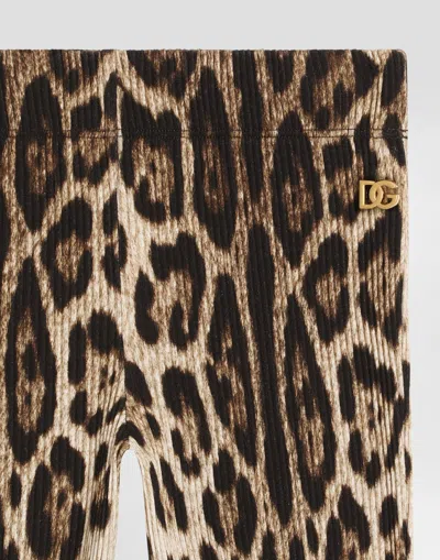 Dolce & Gabbana Leopard-pattern Trousers In Animal Print