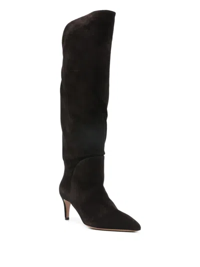 Paris Texas Pointed Calf Suede Boots In Black