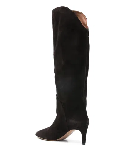 Paris Texas Pointed Calf Suede Boots In Black