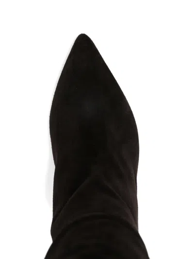 Paris Texas Pointed Calf Suede Boots In Black