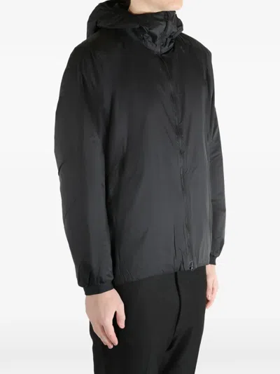 Goldwin Hooded Jacket In Gray