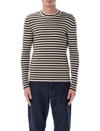 Prada Superfine Wool Striped Crew-neck Sweater In Multi