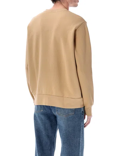 Polo Ralph Lauren Crew Neck Sweatshirt In Brown