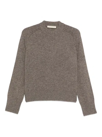 Vanessa Bruno Fresia Sweater In Brown