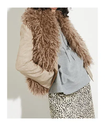 Maxco. Plush Shawl In Brown