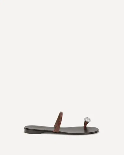 Giuseppe Zanotti Brown Calf Leather Bos Taurus Flat Sandals In Black