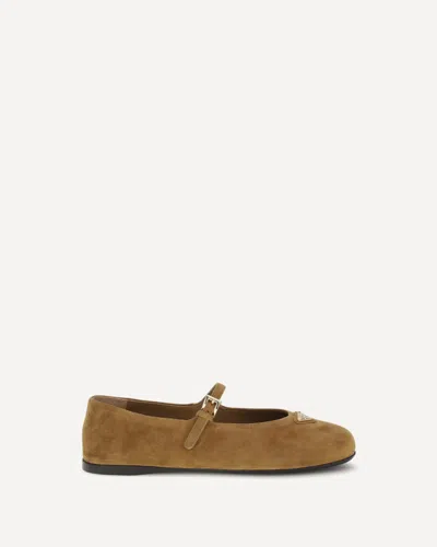 Prada Suede Leather Ballerinas In Brown
