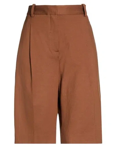 Circolo 1901 Woman Shorts & Bermuda Shorts Brown Size 2 Cotton, Elastane In Brown