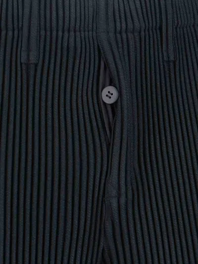 Issey Miyake Pants In Multi