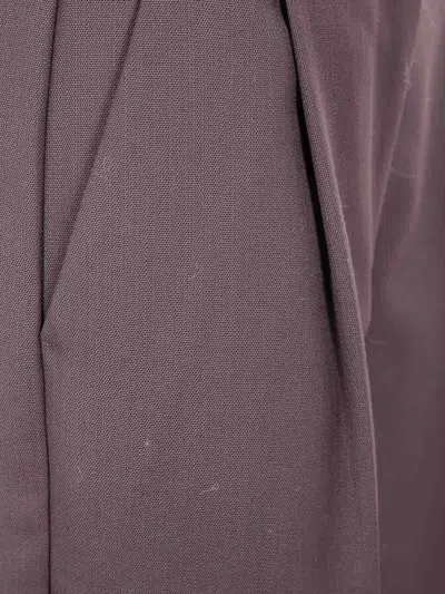 Anine Bing Pants In Brown