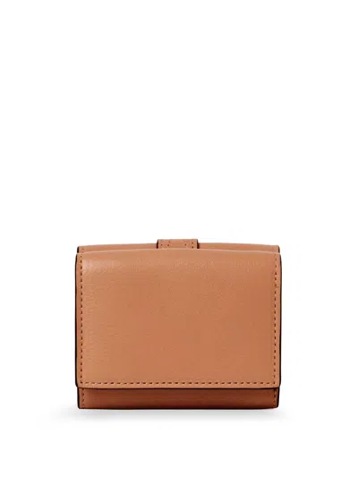Chloé Wallets Mustang Brown In Brown