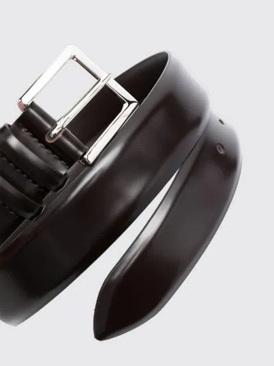 Orciani Belt Men  In Black