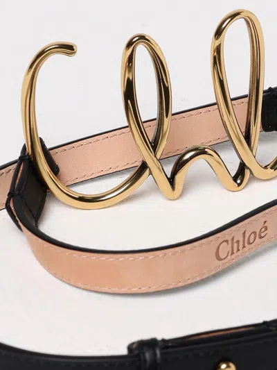Chloé Belt Woman  In Brown
