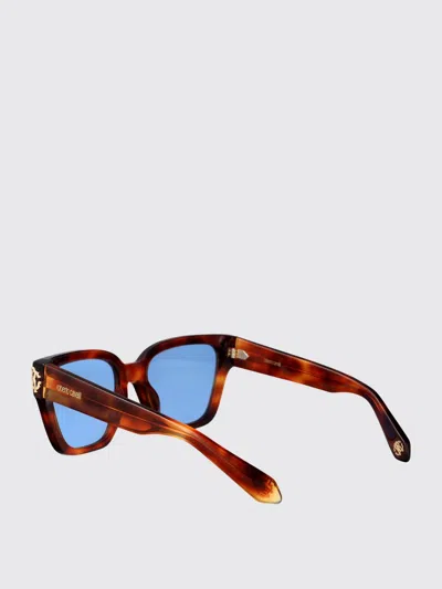 Roberto Cavalli Havana Chiara Acetate Sunglasses In Brown