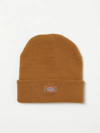 Dickies Hat Men  In Brown