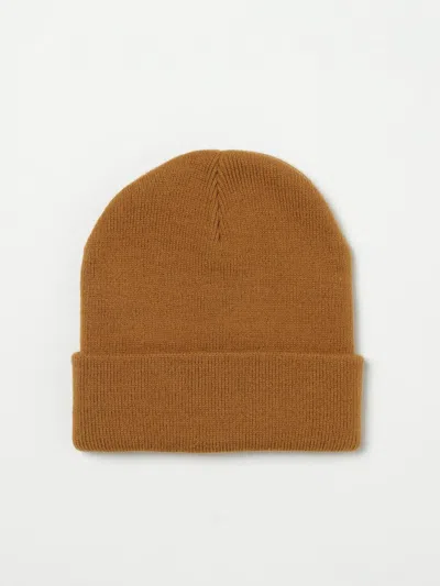 Dickies Hat Men  In Brown