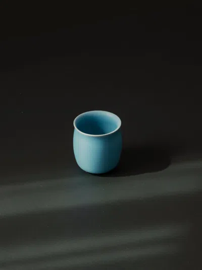Raawii Vase In Blue
