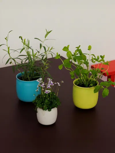 Raawii Vase In Black