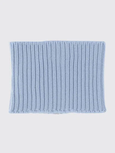 Sa Su Phi Cashmere Knit Cashmere Collar Scarf In Blue