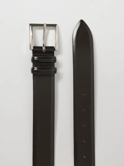 Orciani Belt Men  In Brown