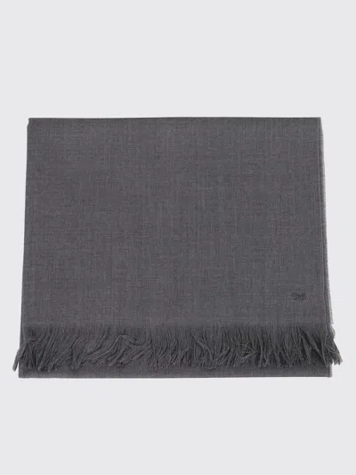 Weekend Max Mara Scarf Woman  In Brown