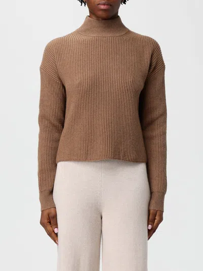Max Mara Sweater Woman  Studio In Brown
