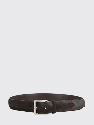Orciani Cloudy Dark Suede Belt With Silver Buckle In Brown