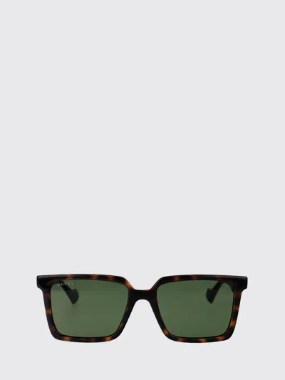 Gucci Havana Havana Green Acetate Sunglasses In Brown