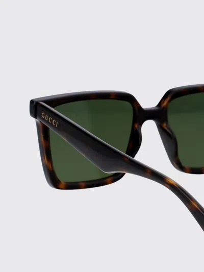 Gucci Havana Havana Green Acetate Sunglasses In Brown