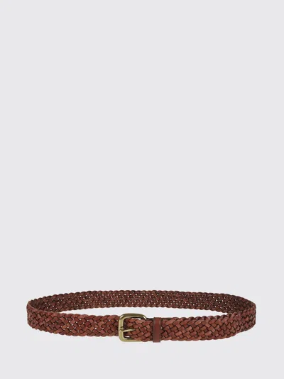 Dragon Diffusion Belt Woman  In Brown