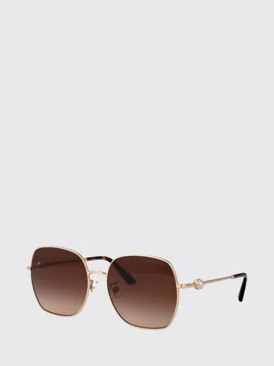 Jimmy Choo Sunglasses Woman  In Brown