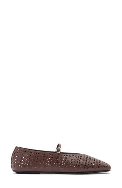 Jeffrey Campbell Khloe Perforated Square Toe Flat In Brown