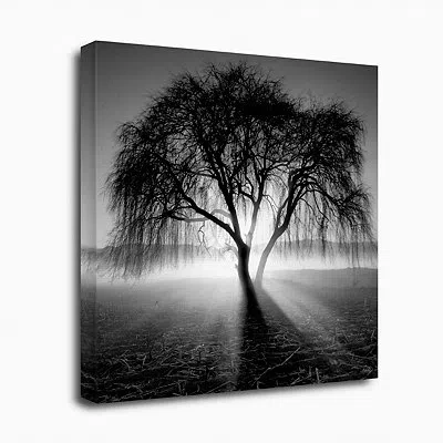 Kirkland's Lighting Tree Canvas Art Print In Black