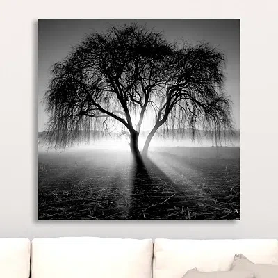 Kirkland's Lighting Tree Canvas Art Print In Black