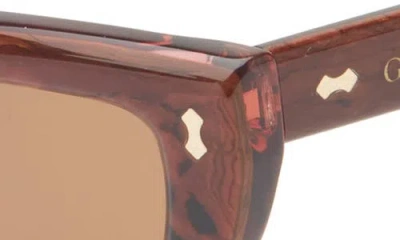 Gucci 51mm Cat Eye Sunglasses In Multi