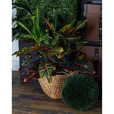 Kirkland's Dutch Woven Seagrass Baskets In Brown