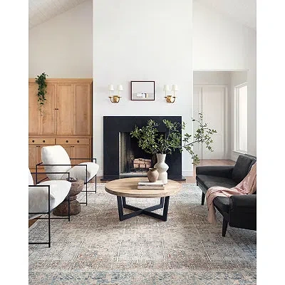 Kirkland's Chris Loves Julia X Loloi Jules Natural Rug In Multi