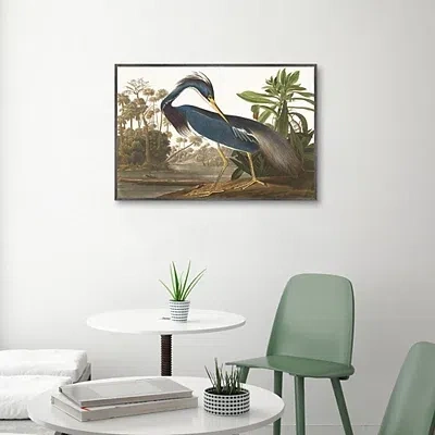 Kirkland's Louisiana Heron Framed Canvas Art Print In Multi