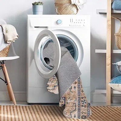 Kirkland's Julian Washable Area Rug In Multi