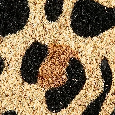 Kirkland's Leopard Print Coir Doormat In Multi